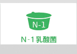 N-1乳酸菌
